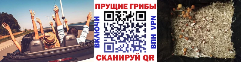 Галлюциногенные грибы MAGIC MUSHROOMS  как найти закладки  Болгар 