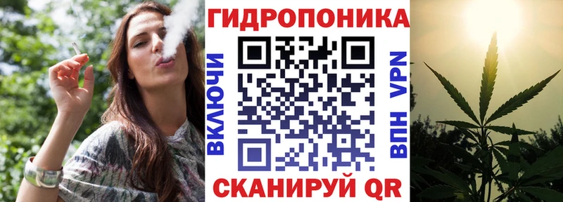 Бошки Шишки планчик  Болгар 